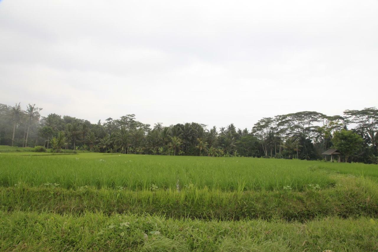 Pondok Gepokan Homestay 乌布 外观 照片