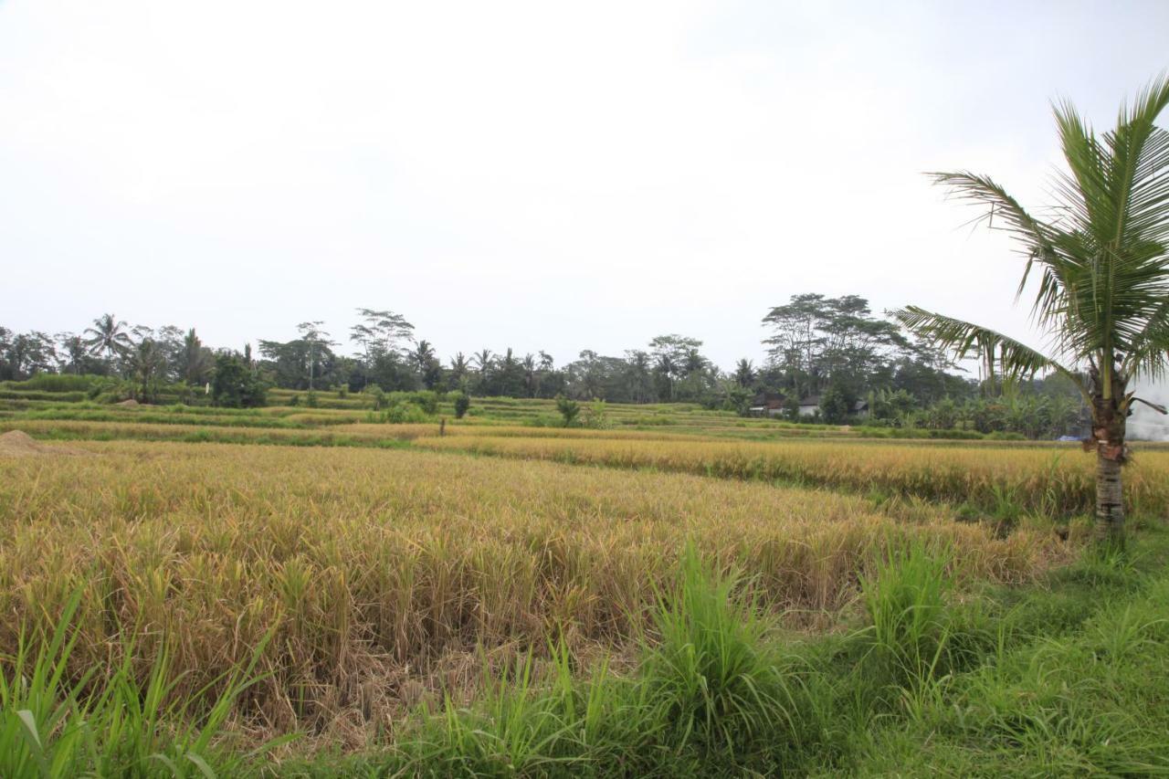 Pondok Gepokan Homestay 乌布 外观 照片