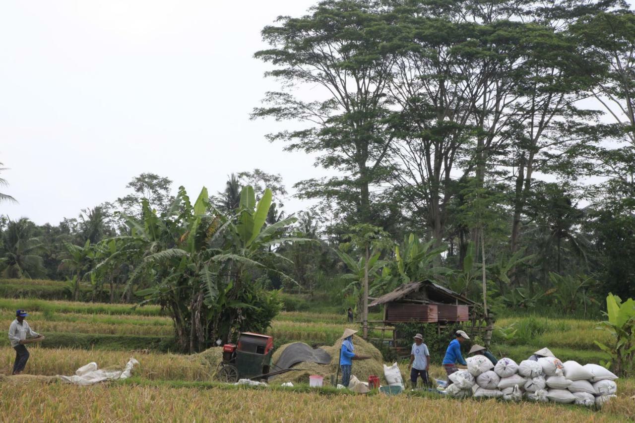 Pondok Gepokan Homestay 乌布 外观 照片