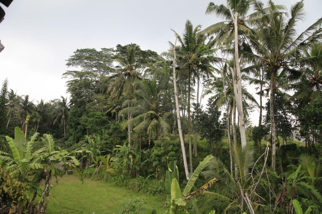 Pondok Gepokan Homestay 乌布 外观 照片